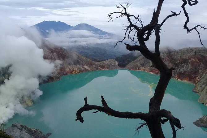 Private Tour : Bromo Ijen Tour From Bali - Key things to know before you go