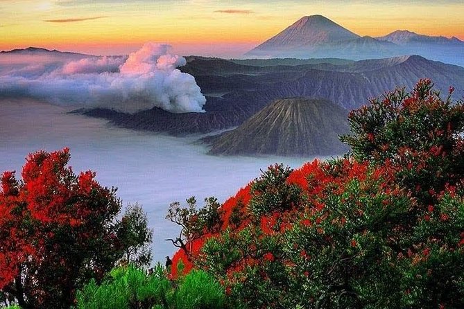Private Tour : Bromo Ijen Tour From Bali - Why this Bali to Java volcano plan works