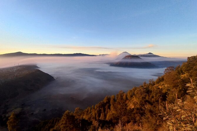 Private Tour : Bromo Ijen Tour From Bali - What is included, what is not, and where the value really sits