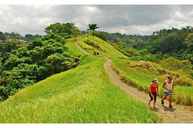 Private Tour: Campuhan Ridge Walk, Ubud Rice Terrace & Ubud Palace - Key reasons this tour is a smart Ubud day