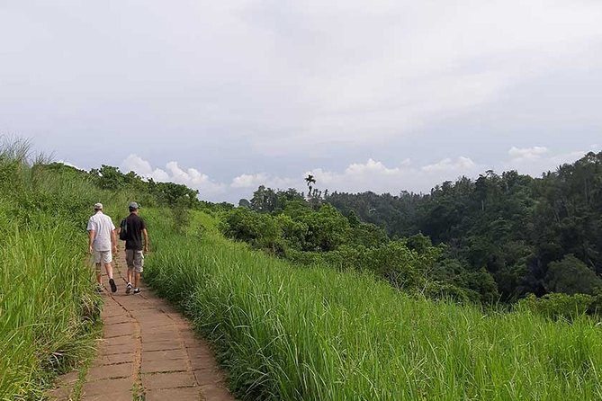 Private Tour: Campuhan Ridge Walk, Ubud Rice Terrace & Ubud Palace - Campuhan Ridge Walk in the morning, when Ubud is still you