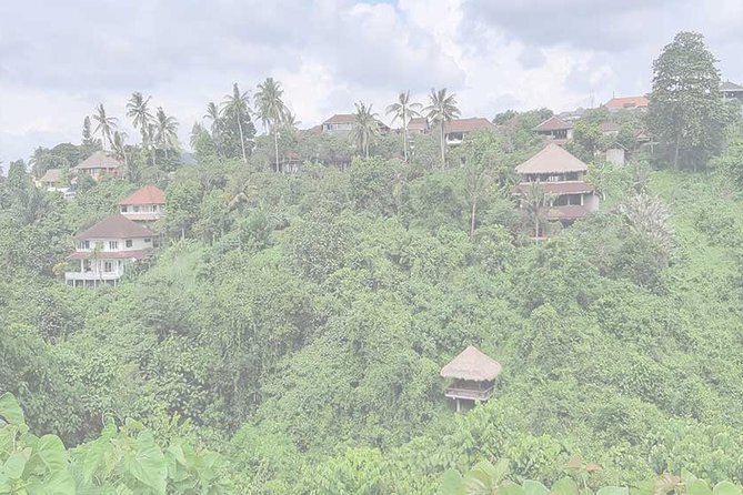 Private Tour: Campuhan Ridge Walk, Ubud Rice Terrace & Ubud Palace - Ceking Rice Terrace: terraces, texture, and photo angles that make sense