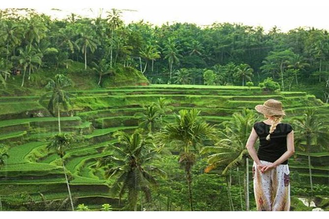 Private Tour: Campuhan Ridge Walk, Ubud Rice Terrace & Ubud Palace - Ubud Palace: where Balinese arts become a real destination