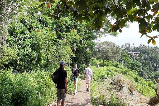 Private Tour: Campuhan Ridge Walk, Ubud Rice Terrace & Ubud Palace - Ubud Traditional Art Market: shopping that stays simple and light