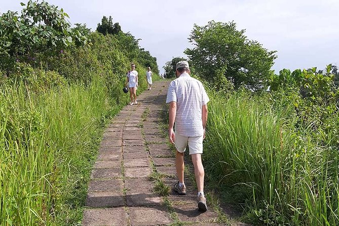 Private Tour: Campuhan Ridge Walk, Ubud Rice Terrace & Ubud Palace - Price check: is $25 really good value here?