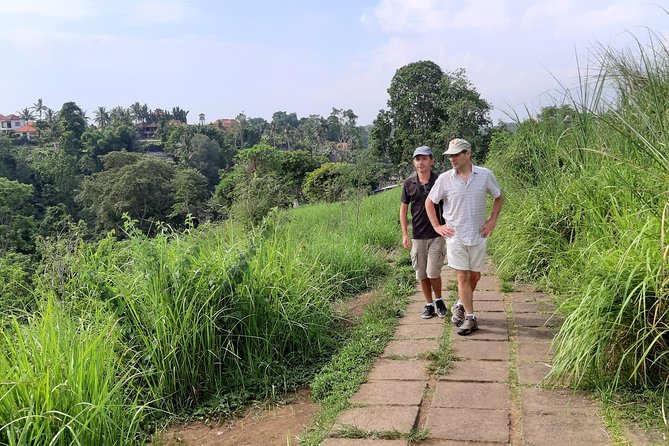 Private Tour: Campuhan Ridge Walk, Ubud Rice Terrace & Ubud Palace - Who should book this, and who should skip it