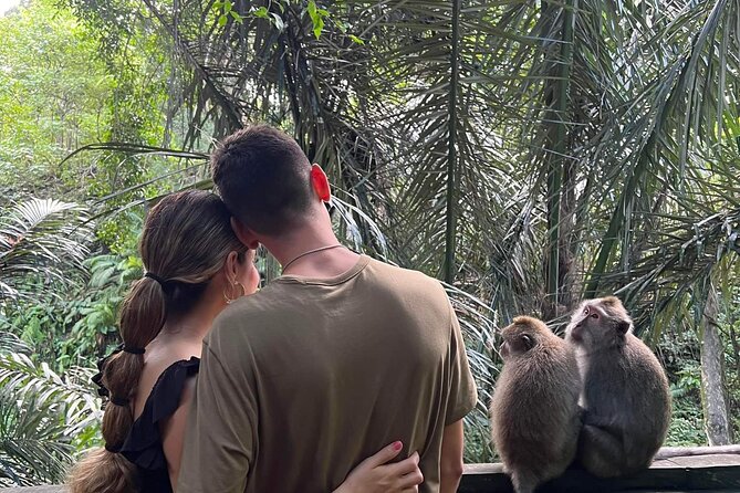 Private tour, discover the beauty of bali - Your pickup and ride: comfort plus a driver who can adjust