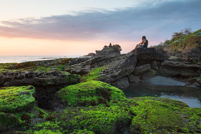 Private Tour: Full-Day Tanah Lot and Uluwatu Temples with Kecak Fire Dance Show - Price and what you get for the money