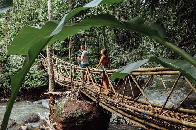 Private Tour: Leke-Leke Waterfall, Handara gate & Iconic Temples - Price and what you actually get for $58 per person
