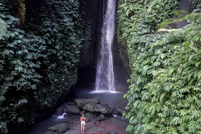 Private Tour: Leke-Leke Waterfall, Handara gate & Iconic Temples - How the private driver/guide improves your day (not just the ride)