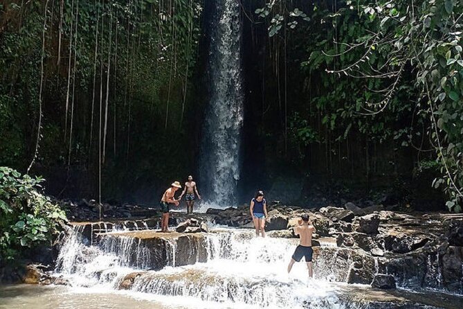 Private Tour to Sumampan Waterfall, Monkey forest, Rice terraces and Swing - dAlas Swing plus lunch at dAlas Warung: the photo moment, then food