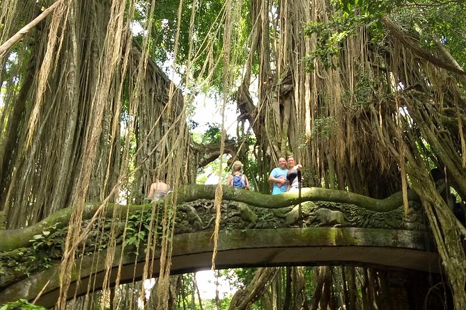 Private Tour to Sumampan Waterfall, Monkey forest, Rice terraces and Swing - Sumampan Waterfall: your misty, photo-first stop
