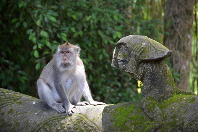 Private Tour: Ubud Day Tour with Traditional Offering Lesson - Temples and Culture Stops: What You Gain When It’s Not Just Quick Photos