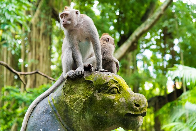 Private Tour: Ubud Highlights - Ubud’s Traditional Art Market: souvenirs without the pressure