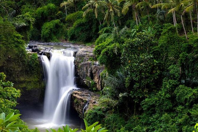 Private Tour - Ubud Kintamani Tours - Getting picked up in an air-conditioned car, with an English-speaking driver