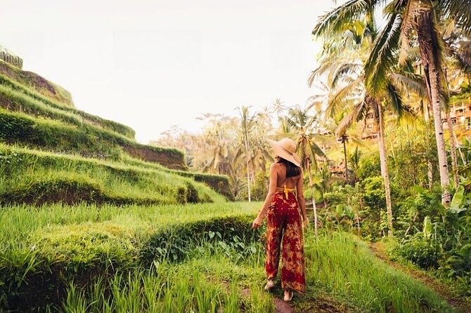 Private Tour Ubud: Swing at Rice Field with Temple and Waterfall - Aloha Ubud Swing, the Photo-First Kickoff