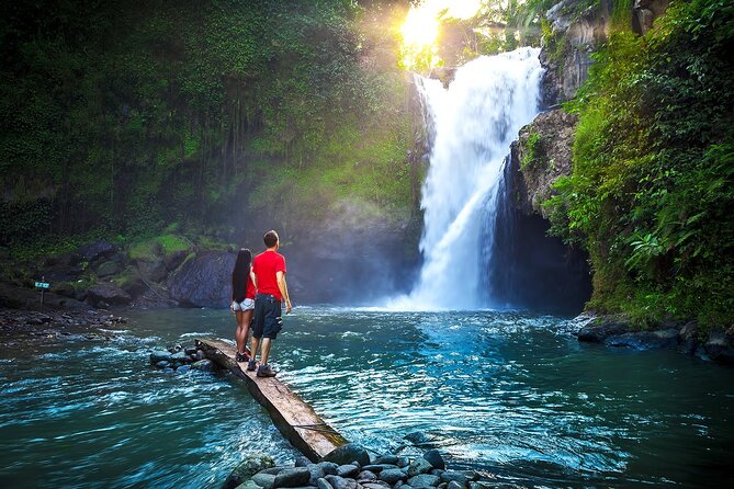 Private Tour: Waterfall, Kintamani Volcano, Ubud Tour with Lunch - Key Highlights That Make This Tour Worth Your Time