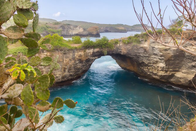 Private Tour West Nusa Penida with T-Rex Beach - Molateng Treehouse: The Best Ending for Panoramic Photos