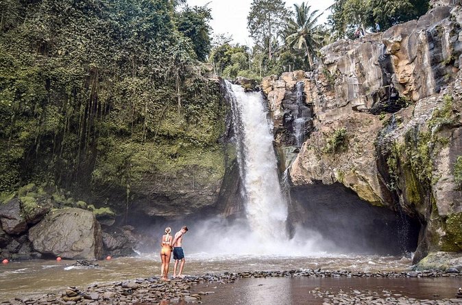 Private Ubud and Volcano Day Trip - Price and value at about $38.47 per person