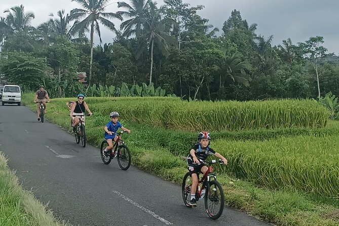 Private Ubud Downhill Cycling with Volcano, Rice Paddies & Meal - Pura Dalem Pukuh: Choosing Your Bike and Getting Set Up Right