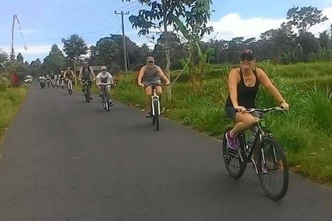 Private Ubud Downhill Cycling with Volcano, Rice Paddies & Meal - Lunch Back in Ubud: Balinese Food Plus Diet Options