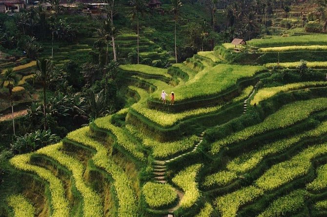 Private Ubud Tour - Key things I’d flag before you go
