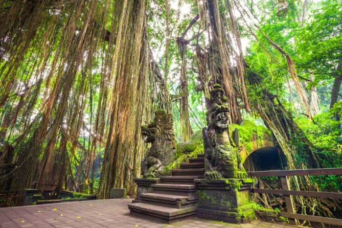 Private Ubud Tour: Monkey Forest, Waterfall & Rice Terrace - Tegenungan Waterfall: Stairs, Cool Air, and a Photo Stop With Work