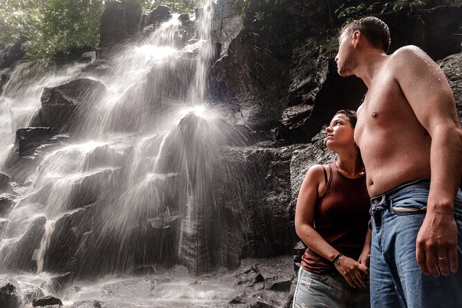 Private Ubud Tour: Waterfall, Rice Terrace & Monkey Forest - Ubud in One Long Day: Waterfalls, Wood Carving, Rice Views, Monkeys
