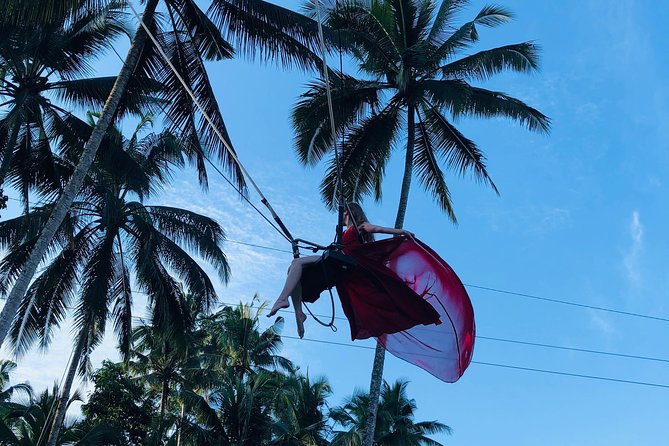 Private Ubud Tour with Hidden Waterfalls - Price and value: is $38.98 a good deal?