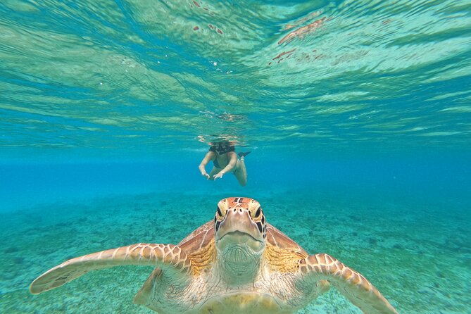 Public Snorkeling 3 Islands - Quick hits before you go