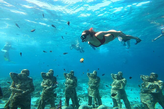 Public Snorkeling 3 Islands - Blue Coral marine park time to wrap up the day