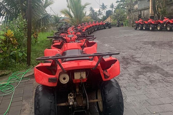 Quadbike Adventure with Tunnel and Waterfall Tour in Bali - Price and Value at About $34.53: What You’re Really Paying For