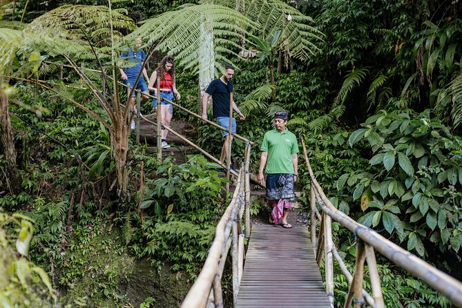 Quick Access: The Bali Instagram Small Group Tour - Tirta Gangga Water Temple: royal gardens, koi, and “quiet photo time”