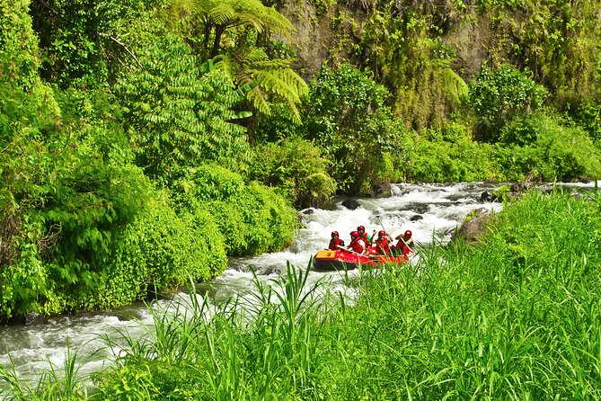 Rafting Adventure 18 km and Balinese Village Life Tour with Lunch - Klungkung Village Walk, Rice Fields to a Family Compound