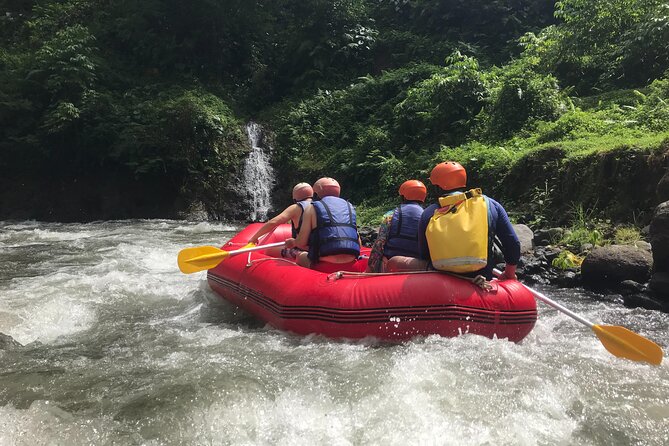 Rafting Adventure 18 km and Balinese Village Life Tour with Lunch - Balinese Family-Style Lunch in a Private Home