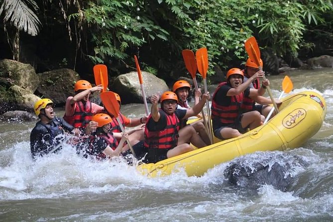 Rafting Swing Monkey Forest And Waterfall Tour All Inclusive - Happy Swing Bali: Dress-Up Photos Without the Extra Planning