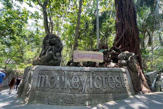 Rafting Swing Monkey Forest And Waterfall Tour All Inclusive - Price and Value: Is $54 a Smart Deal for This Much Activity?