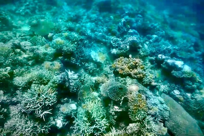 Rangko Cave & Beach Snorkeling Half Day Sharing Trip Labuan Bajo - Boat and guide style: why it can feel cozy or noisy