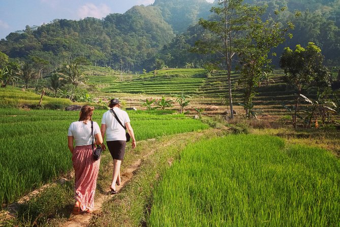 Rent car with speaking English driver in Yogyakarta - Building Your Day Around Borobudur, Lunch, and Space Coffee Roastery