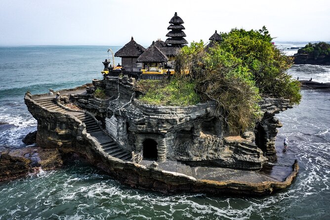 Royal Family Temple, Monkey Forest, and Tanah Lot Sunset Tour - Alas Kedaton Monkey Forest: Macaca Fascicularis and the Forest Life