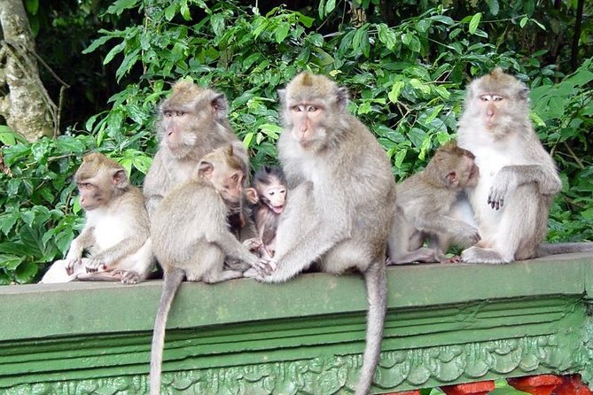 Royal Family Temple, Monkey Forest, and Tanah Lot Sunset Tour - What the Flow Feels Like, Stop by Stop