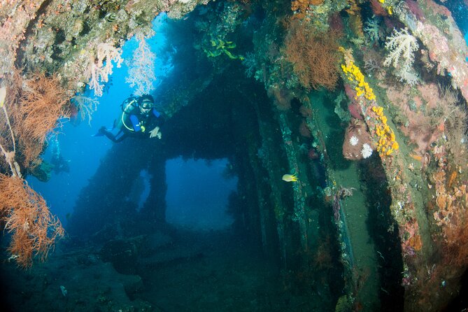 Sanur Open Water Course learn diving in 3 Days - Get certified & Dive everywhere - Day 3 Padang Bai or Tulamben: The Wreck-Friendly Choice