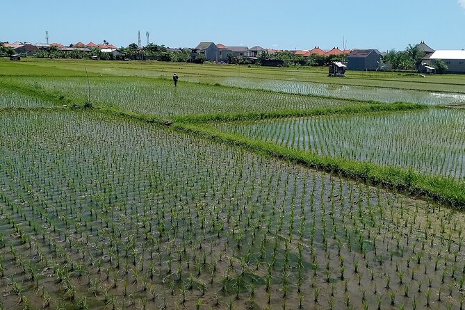 Sanur Village E-bike Tour: Family-Friendly Adventure - Lunch on the Sand: Indonesian Food After You Ride