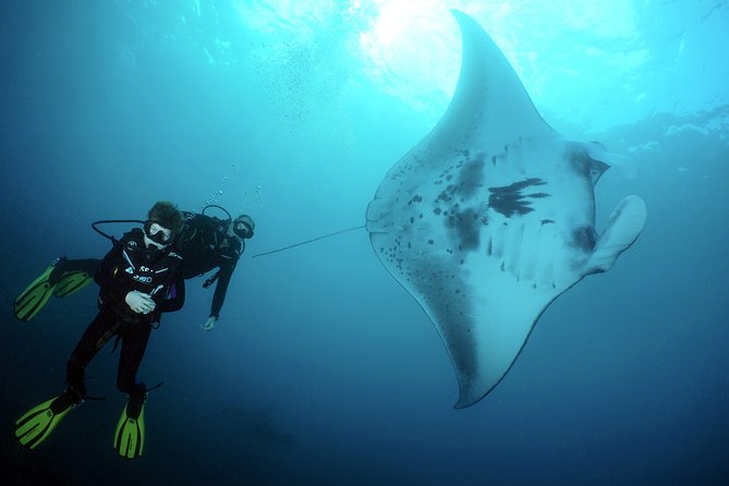 Scuba Diving Nusa Penida Manta Point 3 dives for certified divers - Early start, big-water goals: how this day actually feels
