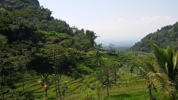 Selogriyo Temple and Trekking Java Rice Terraces, hidden waterfall -Nature Java - Key Highlights to Expect