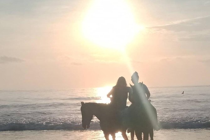 Seminyak Beach Bali Horse Riding - Group discounts, private rides, and who the guide is for