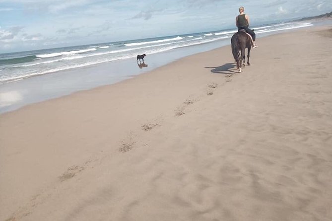 Seminyak Beach Bali Horse Riding - Weather and sea conditions: why this ride can change