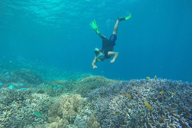 Sharing Snorkeling Trip Gili islands Depart Lombok/Gili Trawangan - Why this half-day snorkeling route is such good value