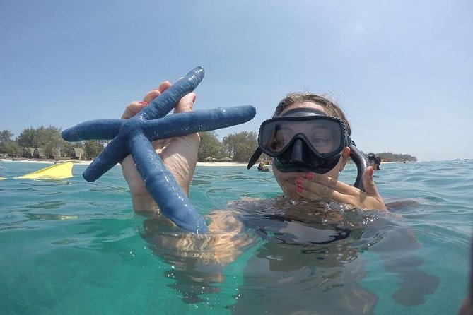 Sharing Snorkeling Trip Gili islands Depart Lombok/Gili Trawangan - Stop 2 on Gili Meno: the sea turtle swimming experience (30 minutes)