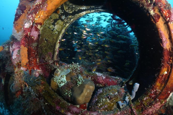 Shipwreck Diving in Tulamben - Quick hits on the USAT Liberty shipwreck day